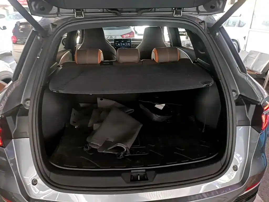 BYD Pro New Energy 2023 — фото 19