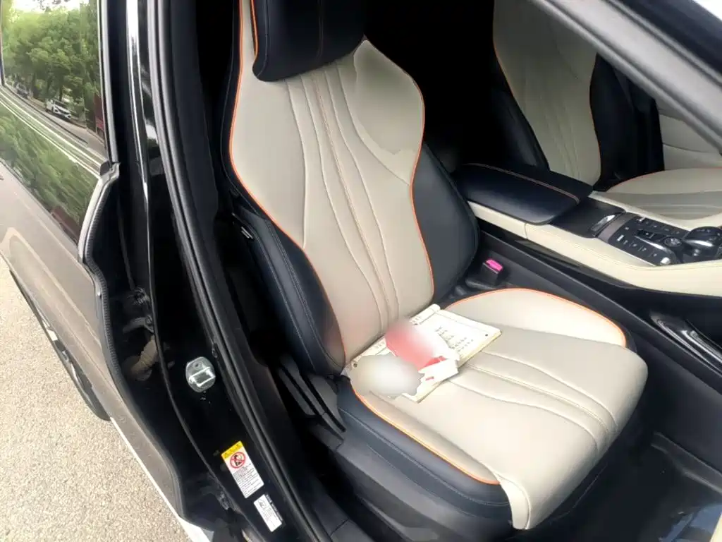 BYD PLUS New Energy 2022 — фото 20