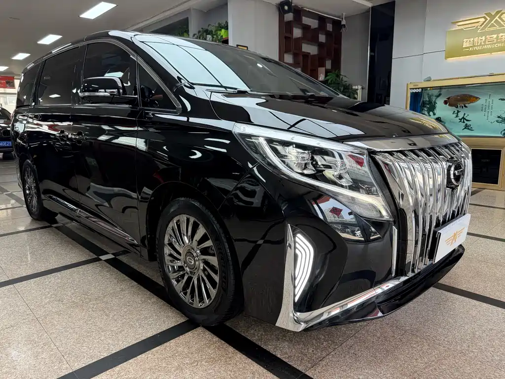 GAC Motor Trumpchi M8 2022 — фото 3