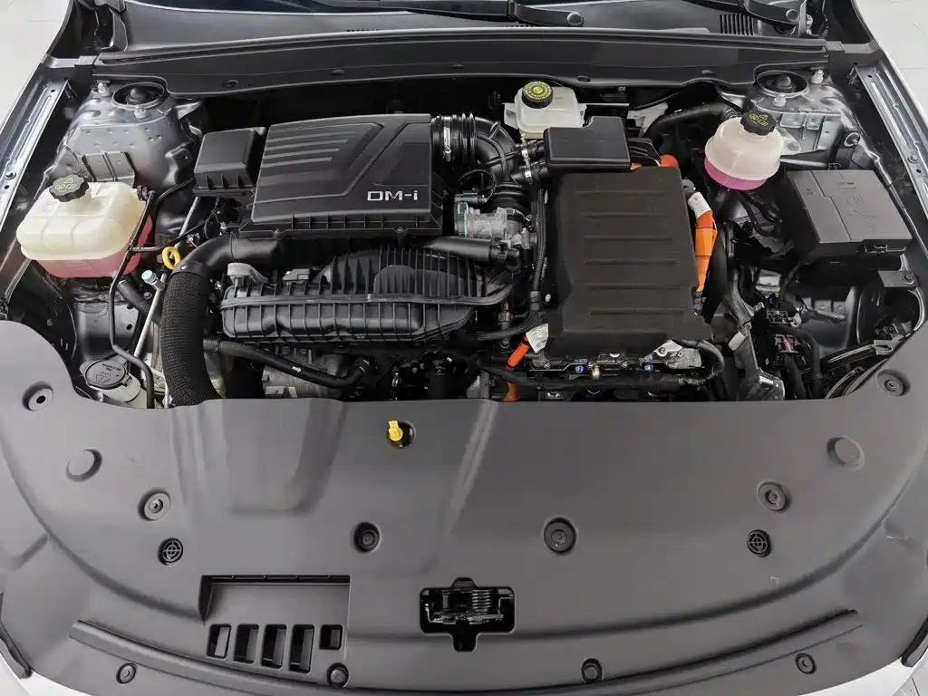 BYD Qin PLUS 2024