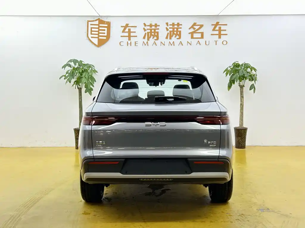 BYD Pro New Energy 2026 — фото 11