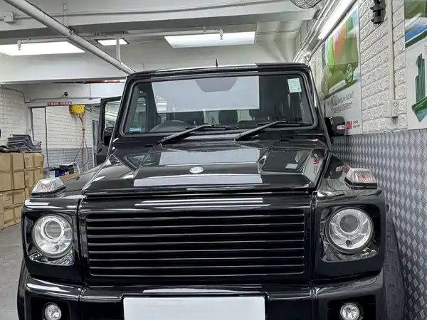 Mercedes-Benz G-Class 2009
