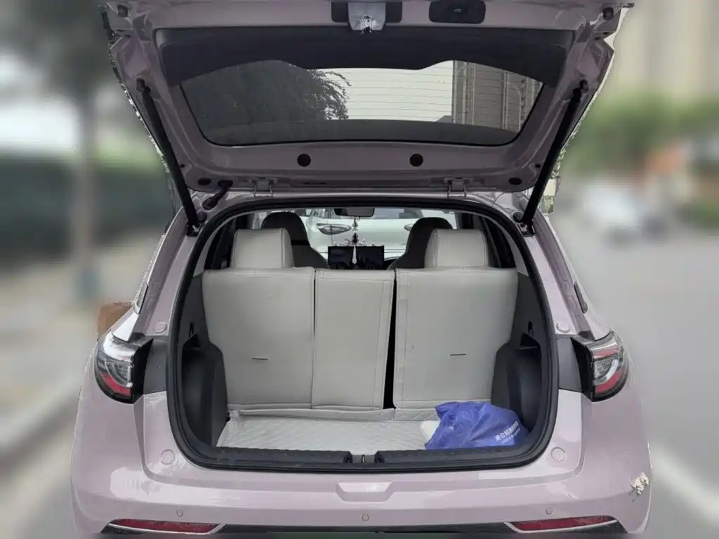 Geely Galaxy Starwish 2025 — фото 15