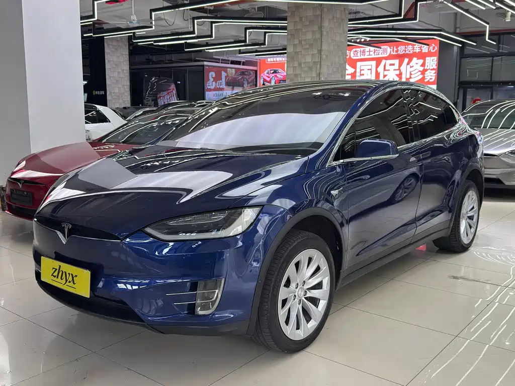 Tesla Model X 2017 — фото 7