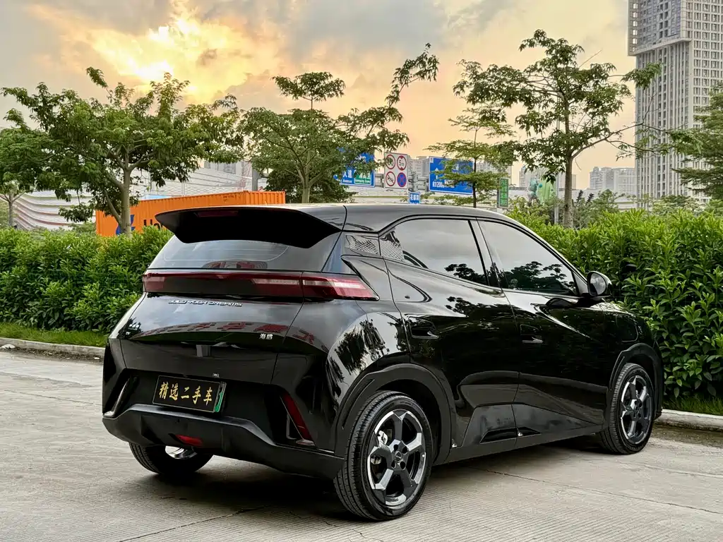 BYD Seagull 2024