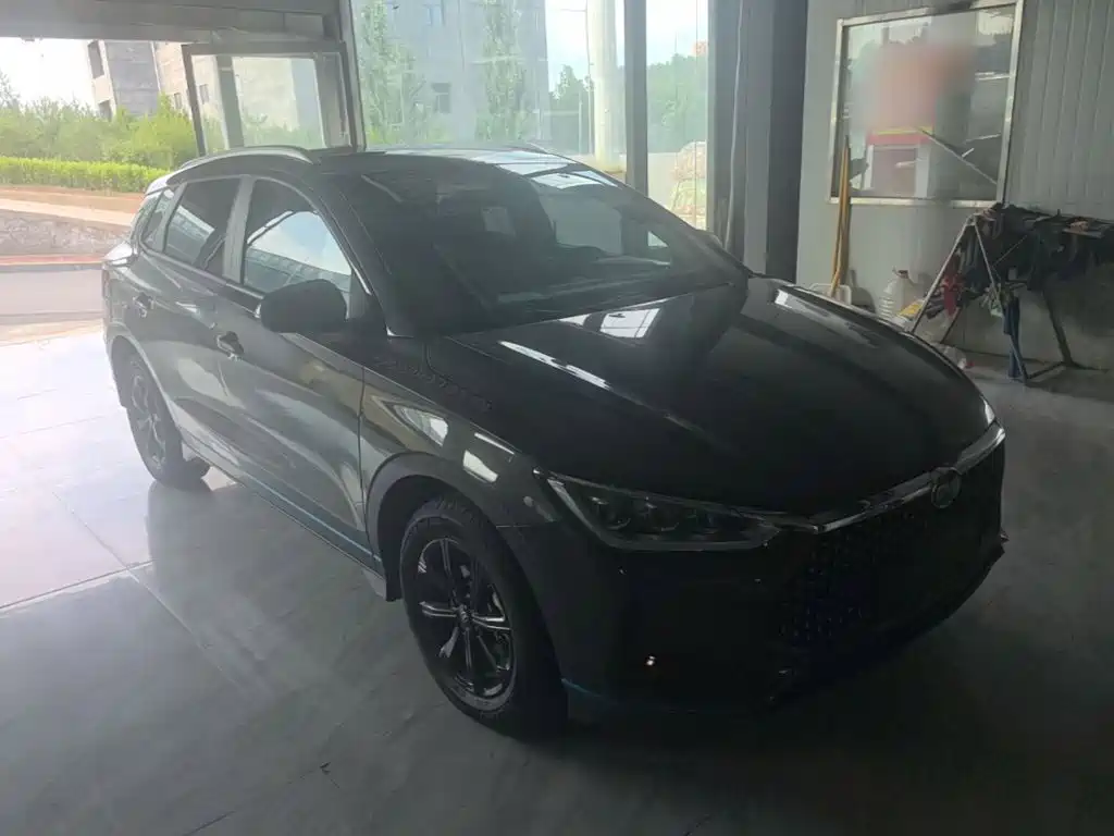 BYD e2 2020