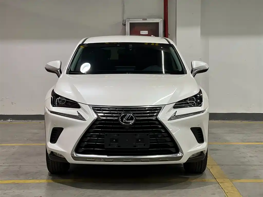 Lexus NX 2019 — фото 2