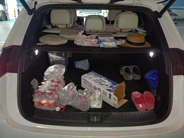 Li Auto L6 2024