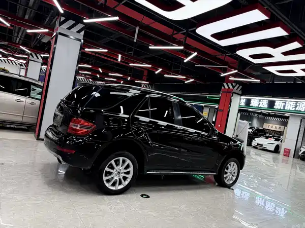 Mercedes-Benz M-Class 2010