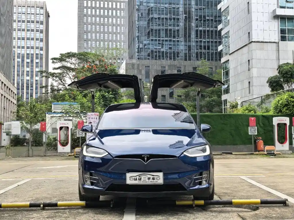 Tesla Model X 2017 — фото 2