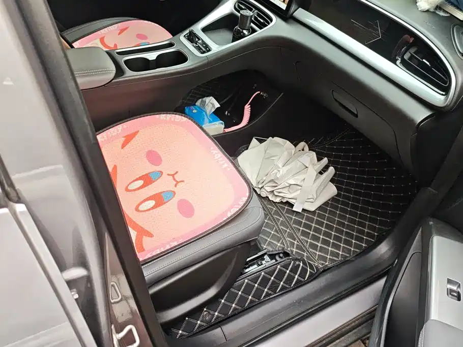 Geely Galaxy Starwish 2025 — фото 8