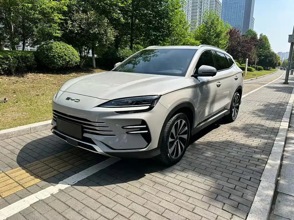 BYD PLUS New Energy 2023 — фото 10