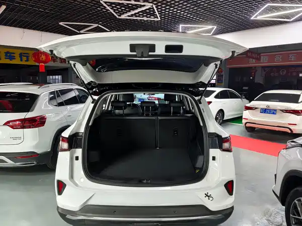Wuling Star 2023