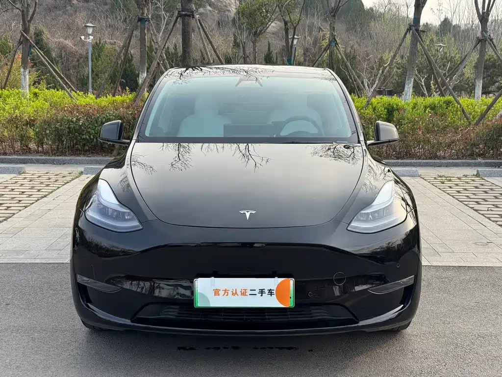 Tesla Model Y 2021 — фото 2