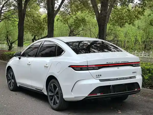 BYD Destroyer 05 2024