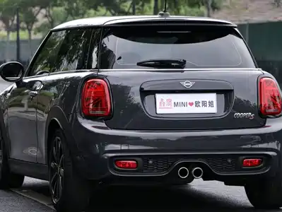 MINI MINI 2021