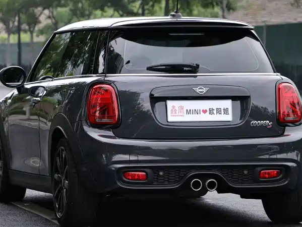 MINI MINI 2021