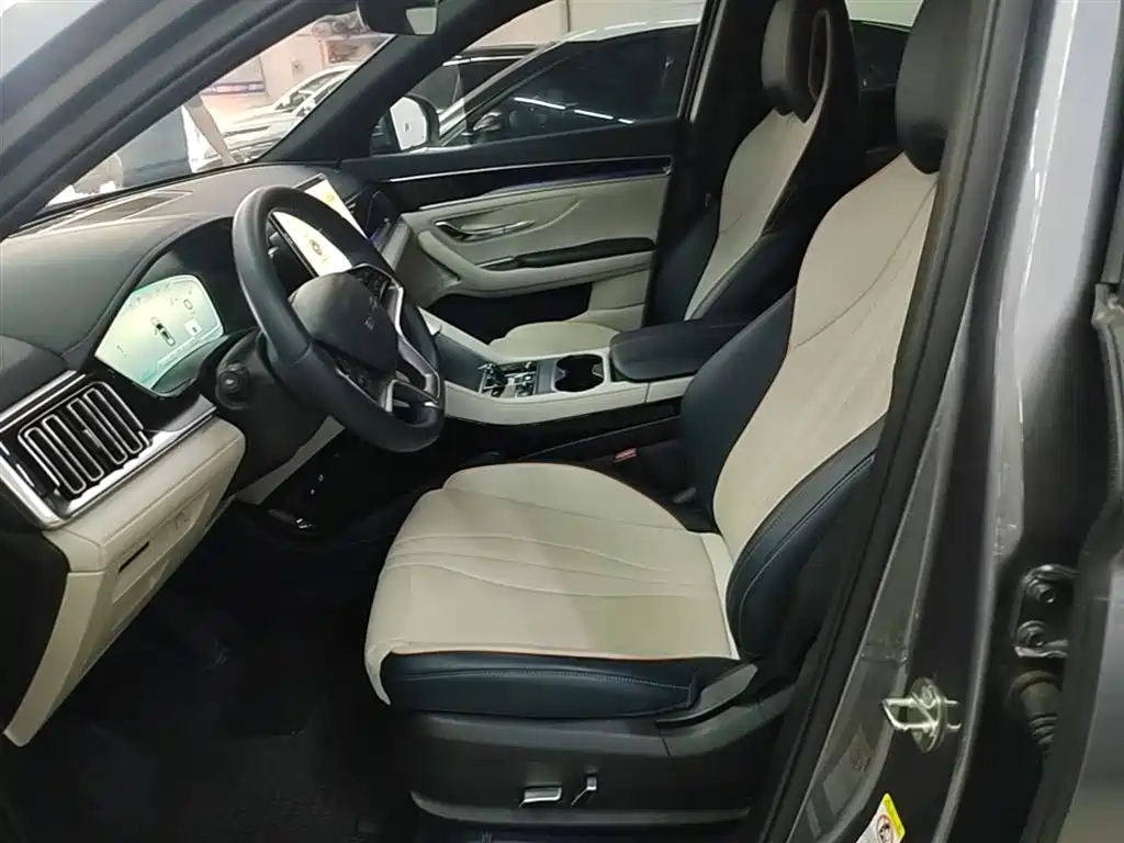 BYD PLUS New Energy 2024 — фото 15