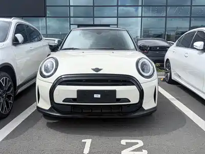 MINI MINI 2022