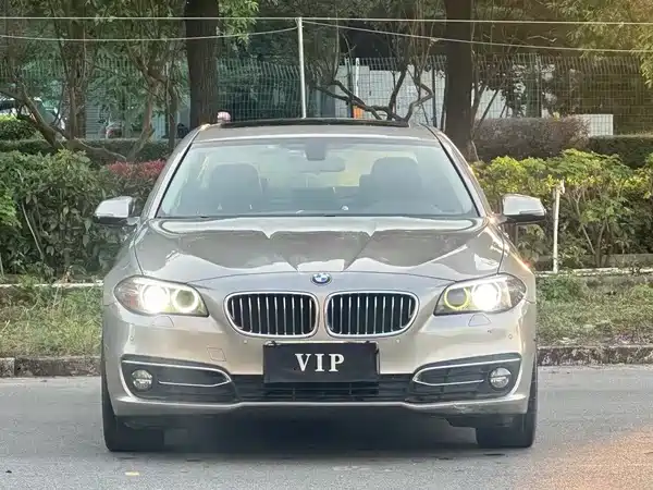 BMW 5 Series 2017