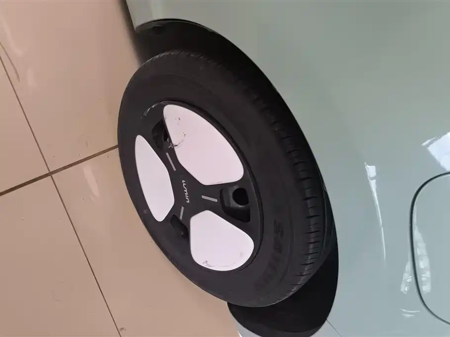 Qiyuan Lumin 2024 — фото 6