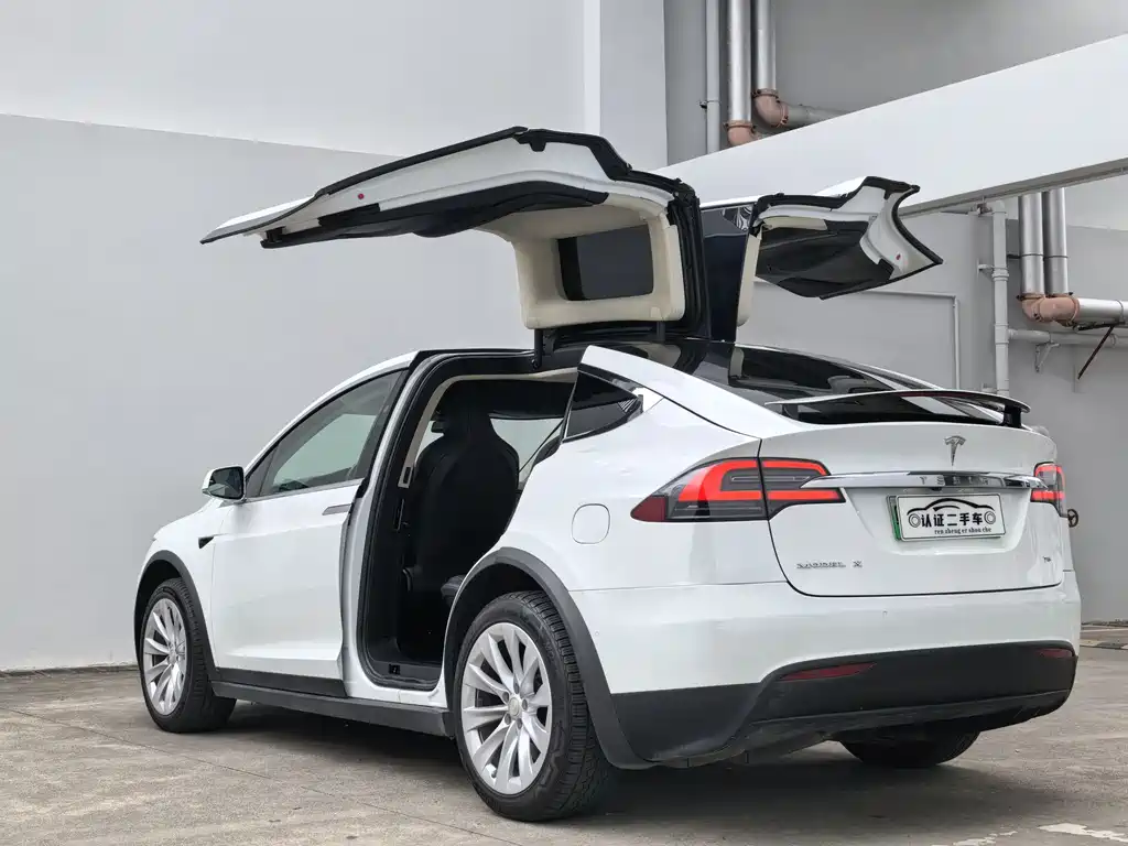 Tesla Model X 2019 — фото 11