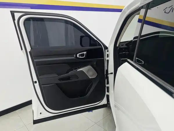 Haval Cool Dog 2023