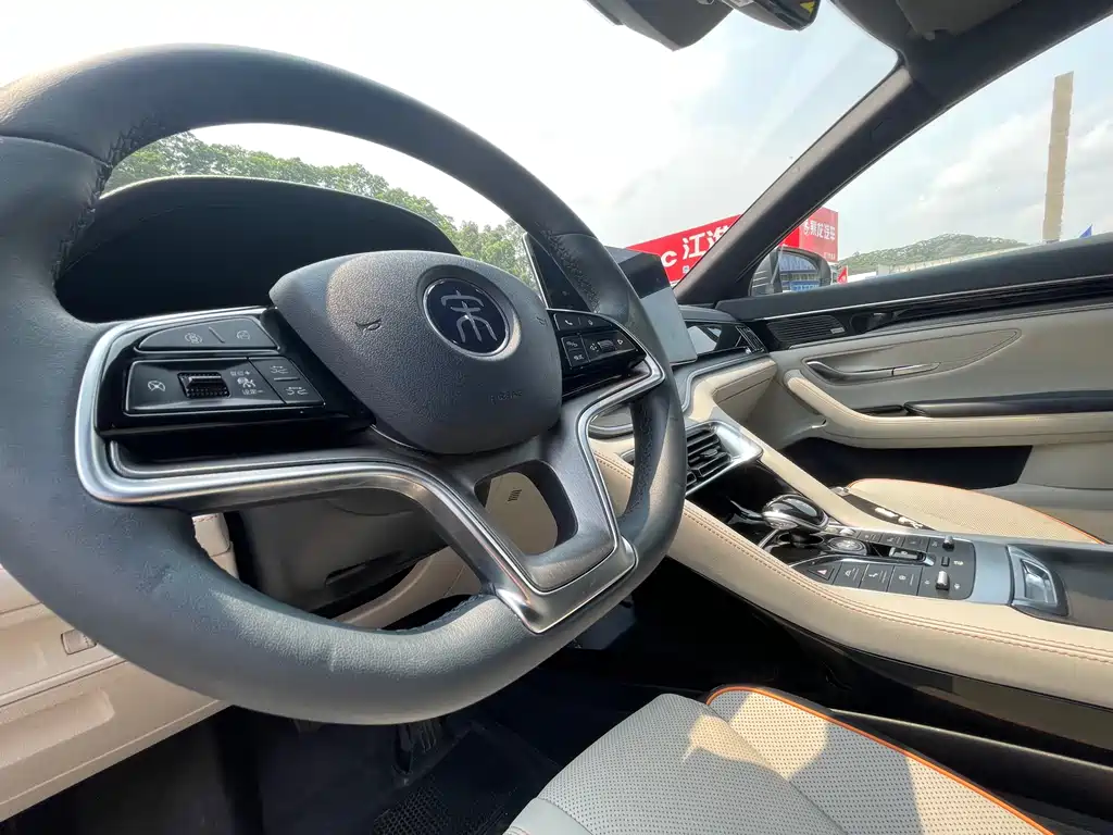 BYD PLUS New Energy 2022 — фото 15