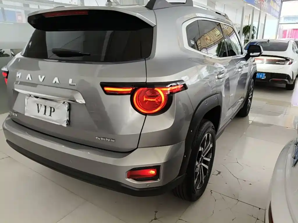 Haval Dog PLUS 2024 — фото 8
