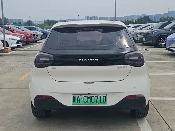 Dongfeng Nano 01 2025