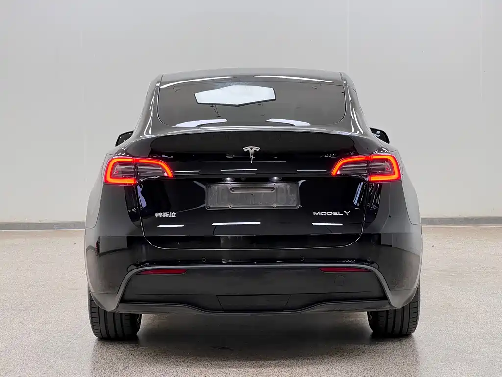 Tesla Model Y 2023 — фото 6