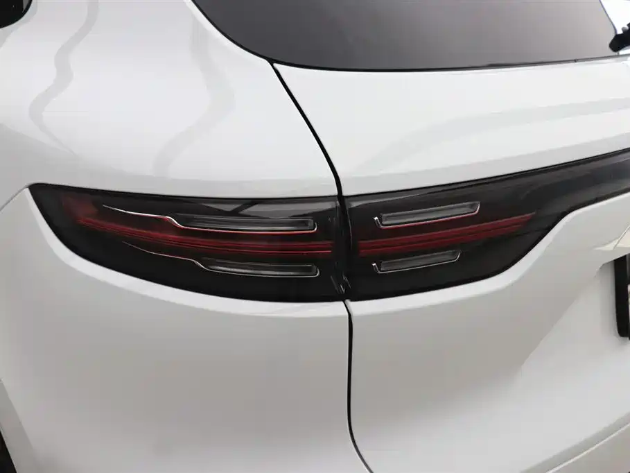 Porsche Cayenne 2019 — фото 31