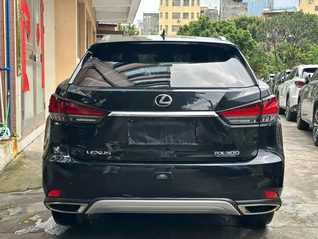 Lexus RX 2021 — фото 8
