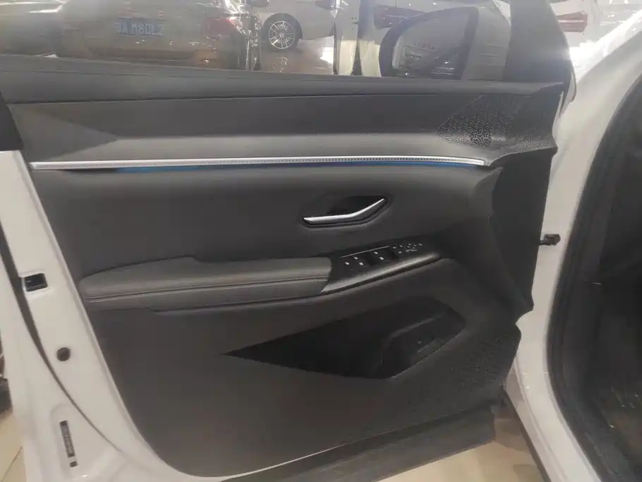 BYD Song Pro New Energy 2025 — фото 7
