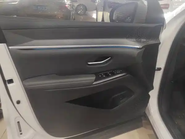 BYD Song Pro New Energy 2025