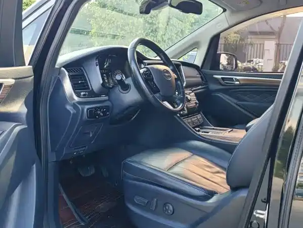 GAC Trumpchi M8 2019