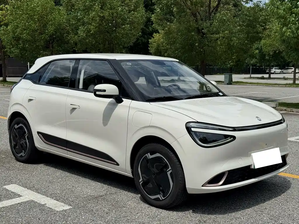 Dongfeng Nano 01 2025