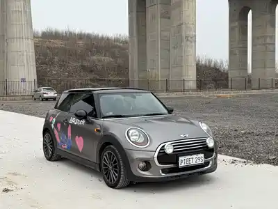 MINI MINI 2016