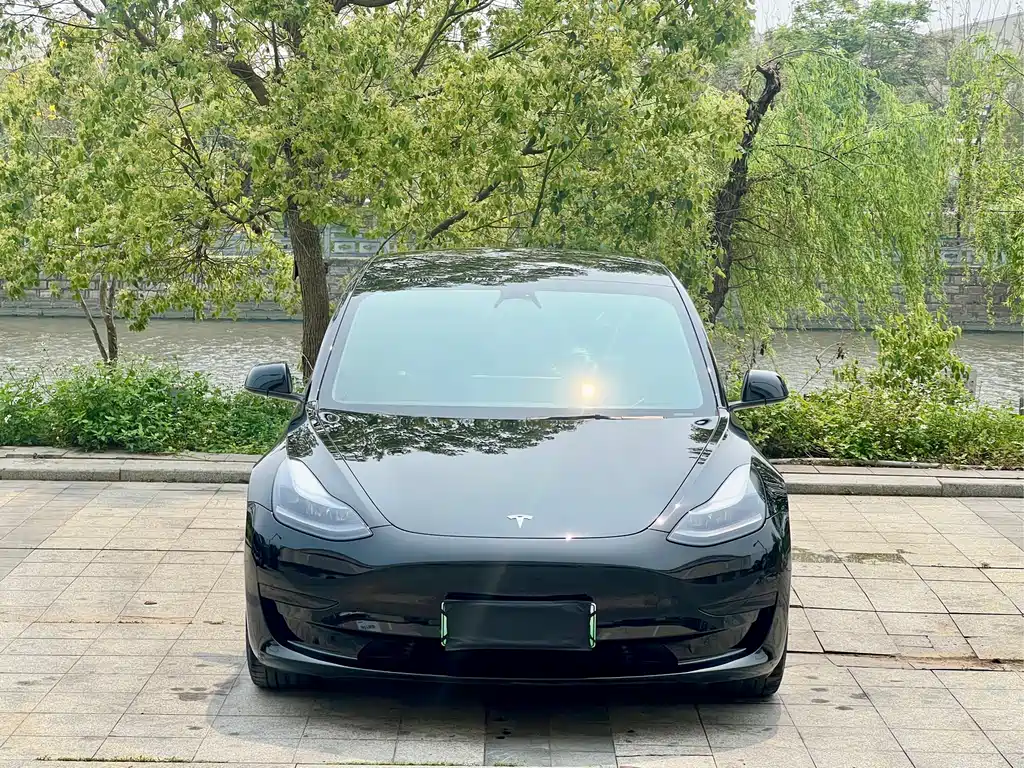 Tesla Model 3 2023 — фото 2