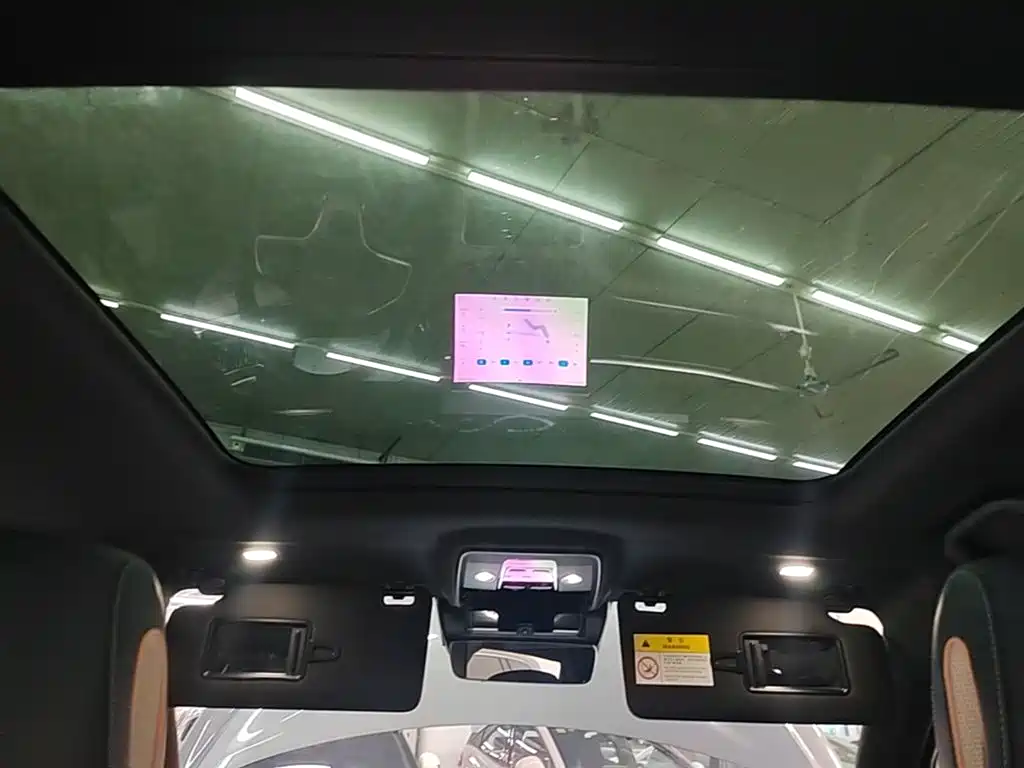 BYD PLUS New Energy 2024 — фото 18