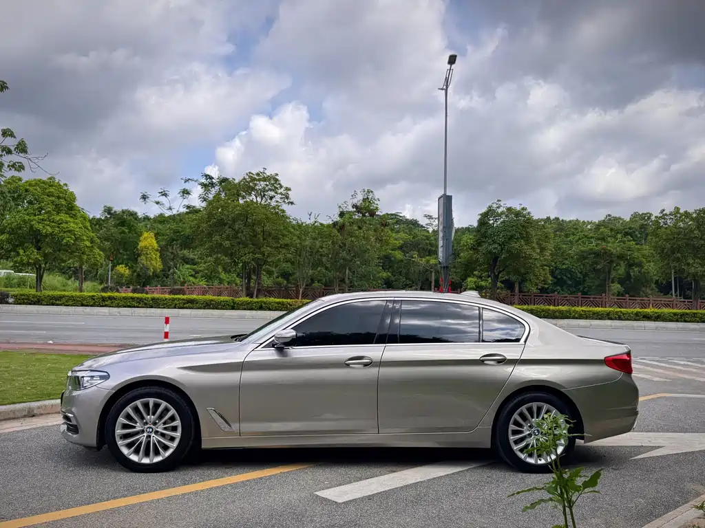 BMW 5 Series 2019