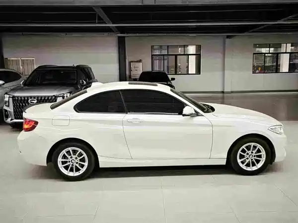 BMW 2 Series 2017