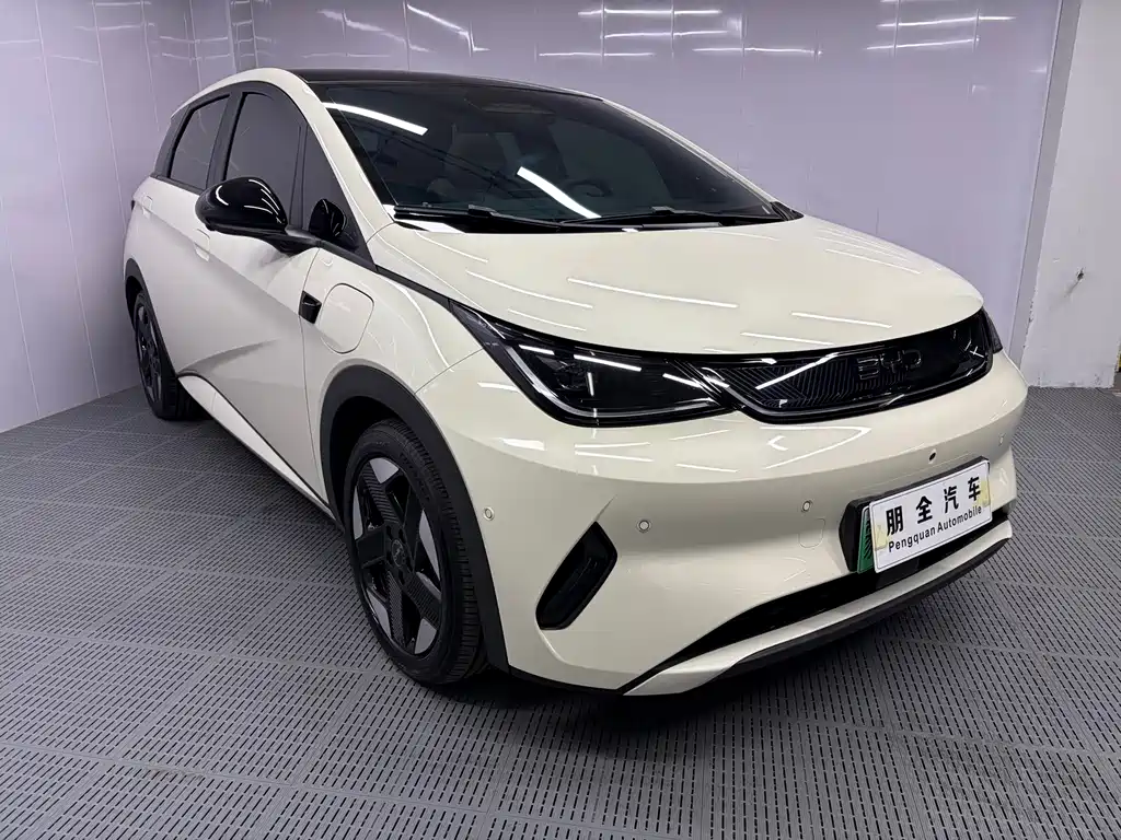 BYD Dolphin 2025