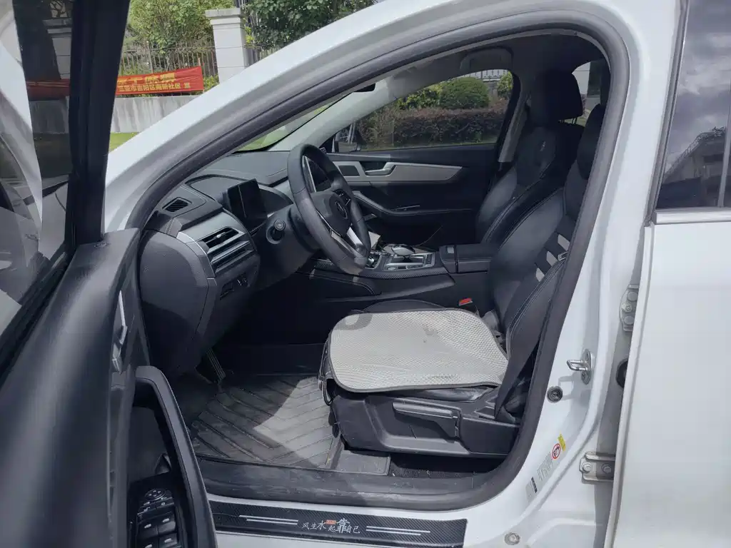 BYD Qin Pro NEV 2020 — фото 7