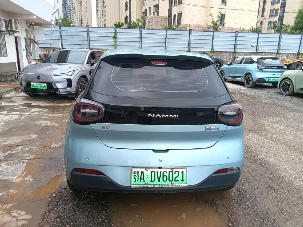 Dongfeng Nano 01 2025