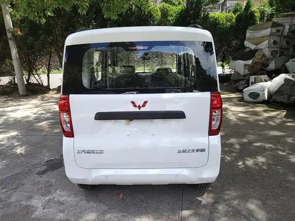Wuling Zhiguang New Energy 2026