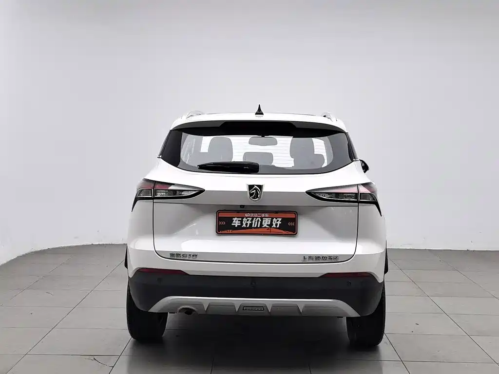 Baojun 510 2019