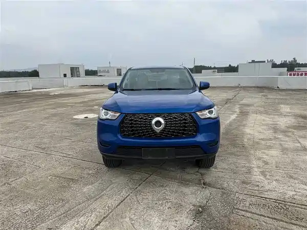 Great Wall Poer 2020