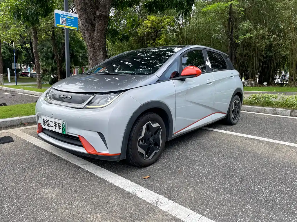 BYD Dolphin 2022