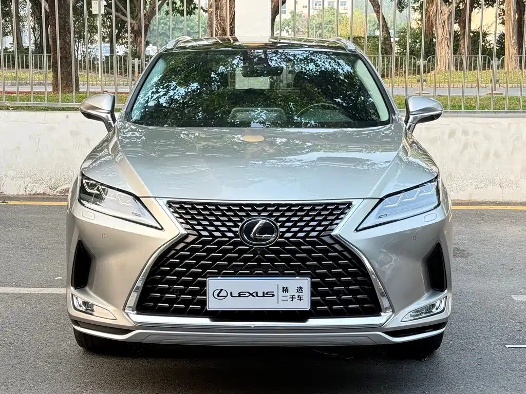 Lexus RX 2020 — фото 1
